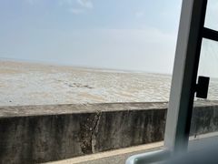 -北海金海湾红树林生态旅游区