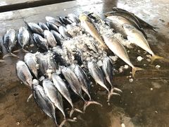 -尼甘布海鲜市场