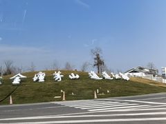 -句容茅山景区