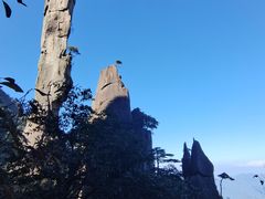 -三清山风景名胜区