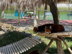 -水上乐园·欢乐世界