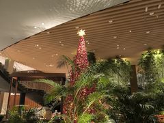-北京望京凯悦酒店The Lounge大堂酒廊