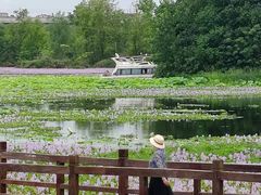 -白鹭湾湿地公园