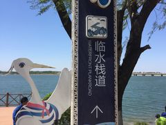 -丁香湖公园