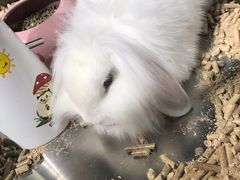 -宠物世家(仲盛世界商城店)