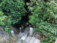 -水濂山森林公园