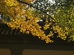 -钓鱼台国宾馆