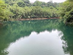 -鼎湖山风景区