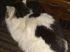 -十方上医中医品牌连锁(拱北店)