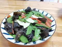 -田螺阿姨自营月嫂·育儿嫂(高新店)