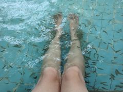 -郑州银基黄帝宫御温泉