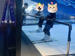 -Hopo Snow 城市滑雪空间(来福士广场购物中心店)