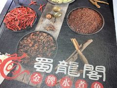 -雲蜀龙阁·金牌水煮鱼(方庄店)