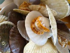 -天宝酒店(万达店)