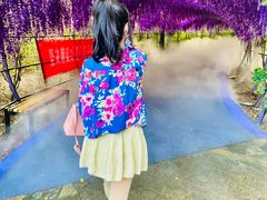 -大塘金香草谷