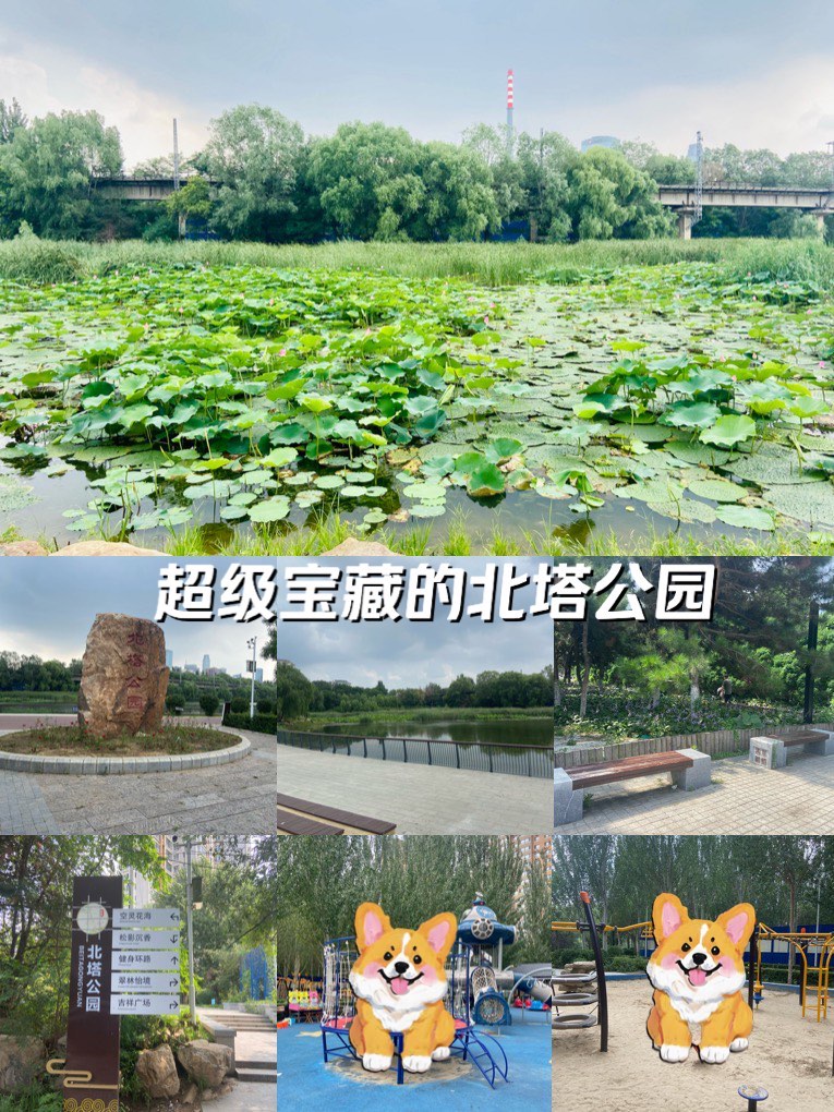 北塔公园介绍图片