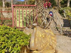 -木兰云雾山