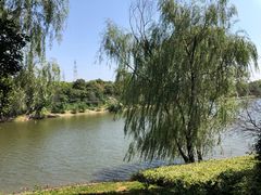 -羊山湖公园