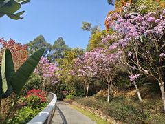-仙岳公园