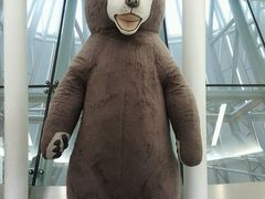 -济州岛泰迪熊博物馆