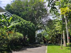 -中国科学院西双版纳热带植物园