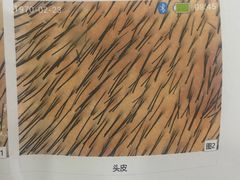 -西京医院