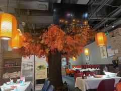 -雲蜀龙阁·金牌水煮鱼(方庄店)