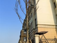 -Steveston Pizza Company (Richmond)