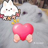 O这里是网红拍照打卡，闺蜜聚会