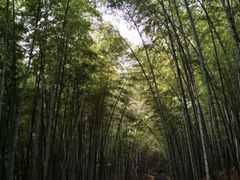 -苏州环秀晓筑养生度假村