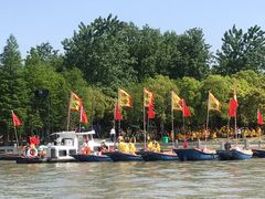 -溱湖国家湿地公园