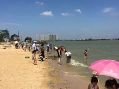 -瑶湖郊野森林公园