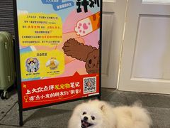 -瑞虹新天地月亮湾