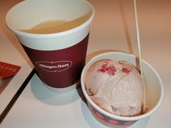 -哈根达斯(陆家浜路店)