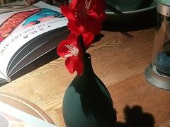 -蜜桃餐厅·伴山(湖滨商业街店)