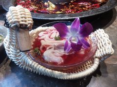 -重庆渝达老火锅(春熙路店)