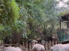 -长鹿旅游休博园