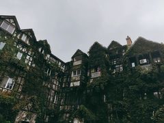 -自然食集西餐厅(泰晤士小镇店)