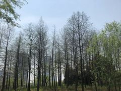 -尚贤河湿地