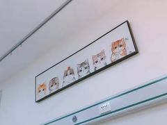 -美联众合动物医院·24h京西诊疗中心