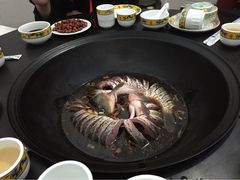 铁锅炖活鱼-铁锅炖活鱼