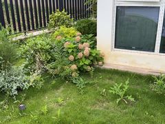 -Dark Horse·黑马蛋糕·低脂·低糖淡奶(金匙望湖大厦店)