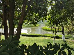 -花果园湿地公园