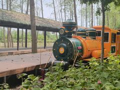 -合肥滨湖国家森林公园