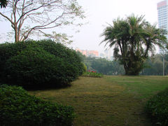 大草坪-东风公园