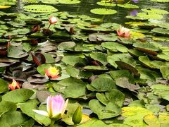 -国家植物园南园