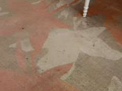 -金茂园大酒店