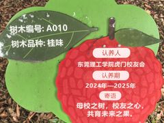 -师兄的茶东莞理工学院(松山湖校区)