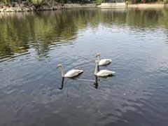 -石家庄市动物园