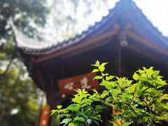 -成都杜甫草堂博物馆